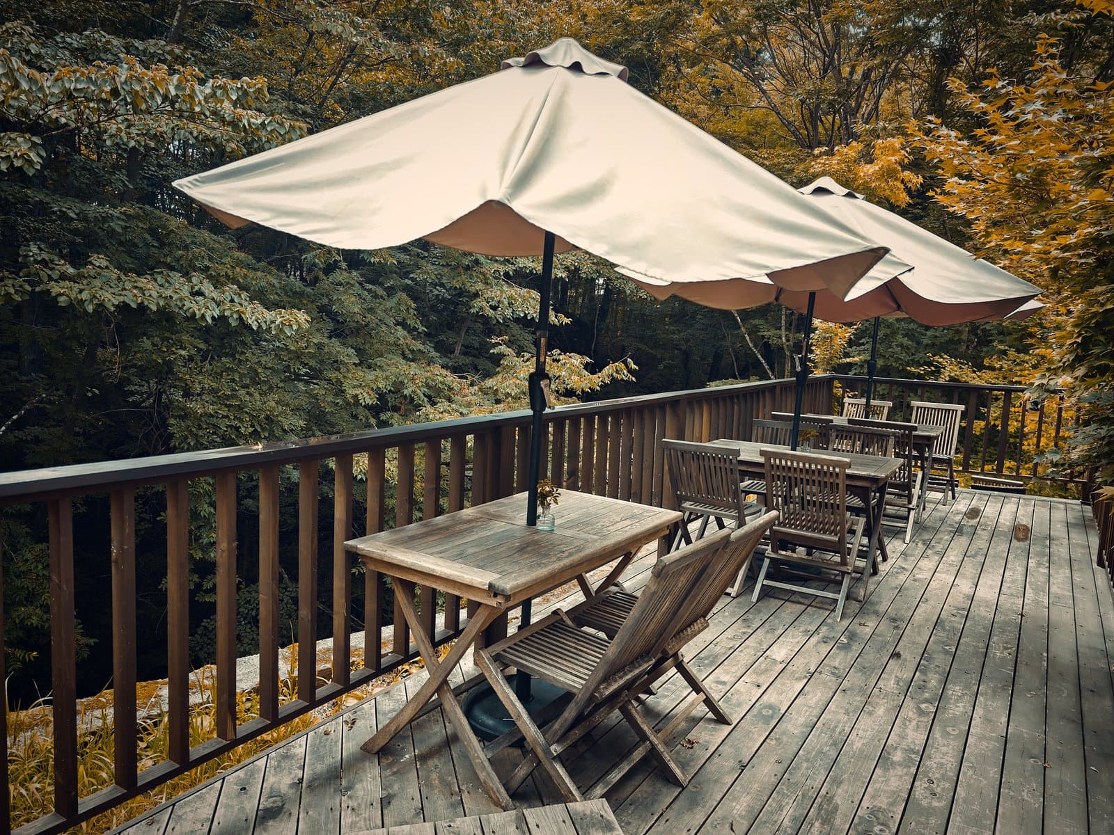 GAFLO CAFE：森側に張り出したデッキのパラソル席。手すりの向こうは雑木林で、緑を見ながら過ごせる（2026年8月撮影）。