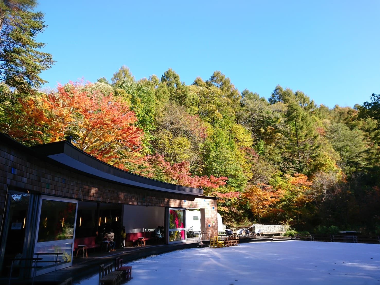 イカルカフェ|紅葉の木立を背にした、弧を描く屋根の店の外観。店の前に白いリンクが広がる。