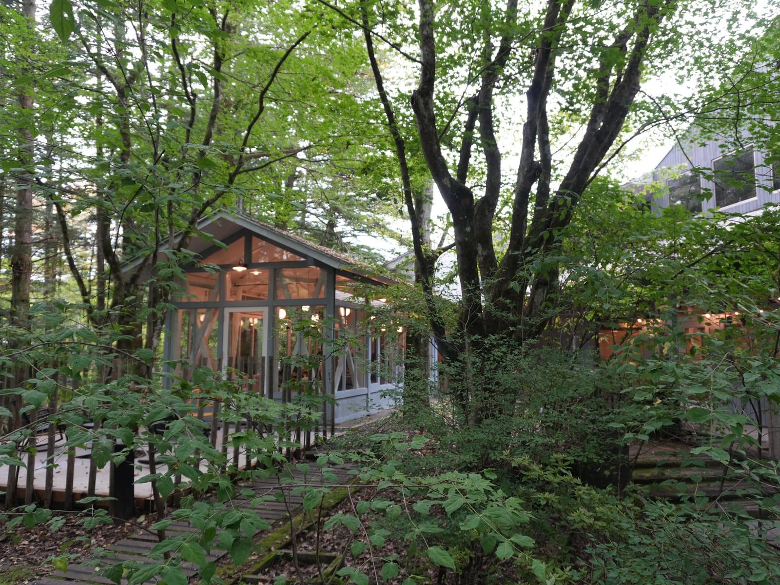 木立の奥に建つガラス張りの平屋。交差点のすぐ脇とは思えないほど緑が濃い(2026年9月19日・編集部撮影)